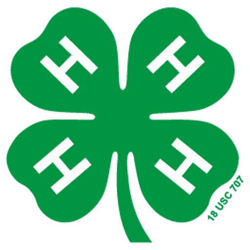 4-H